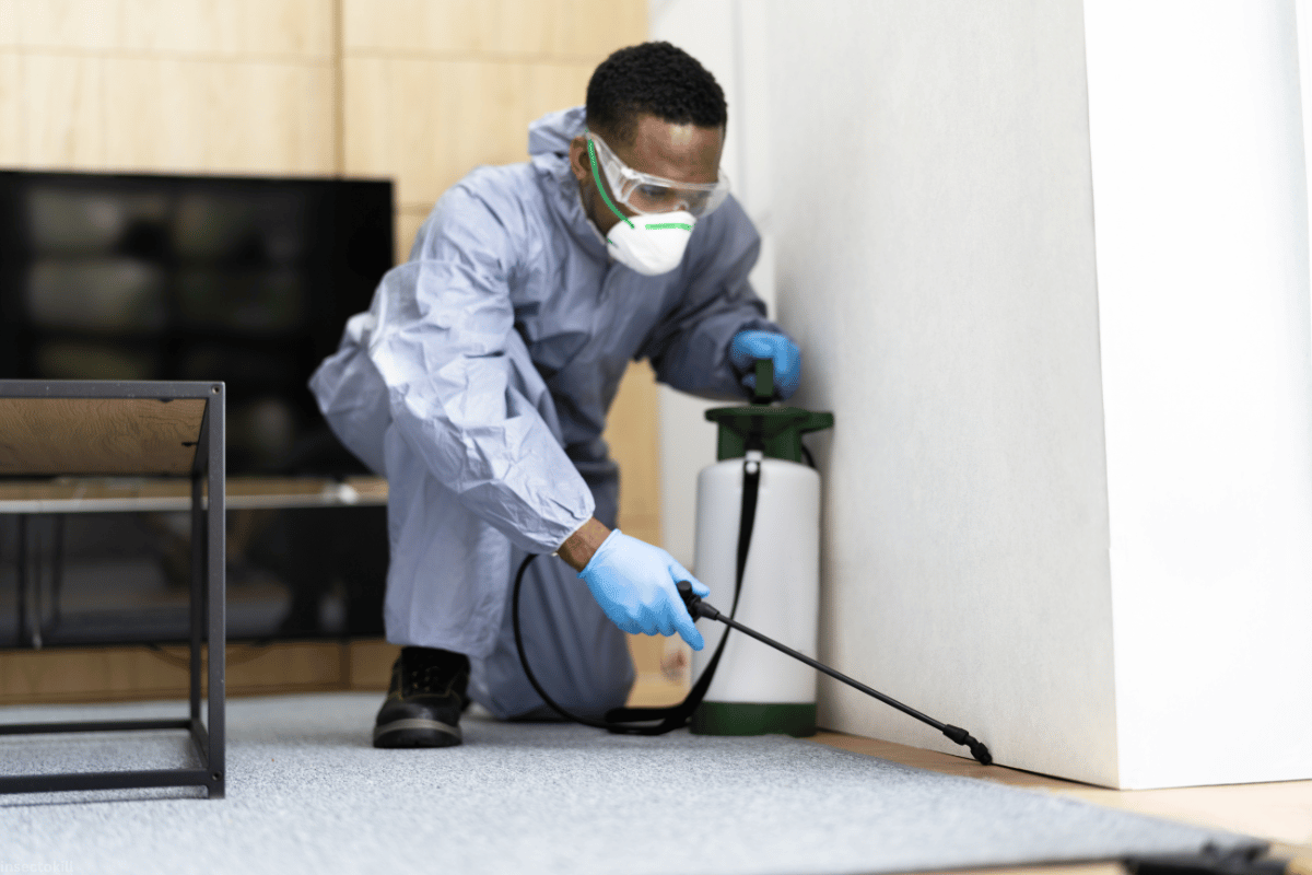 Dubai’s expert cockroach control service