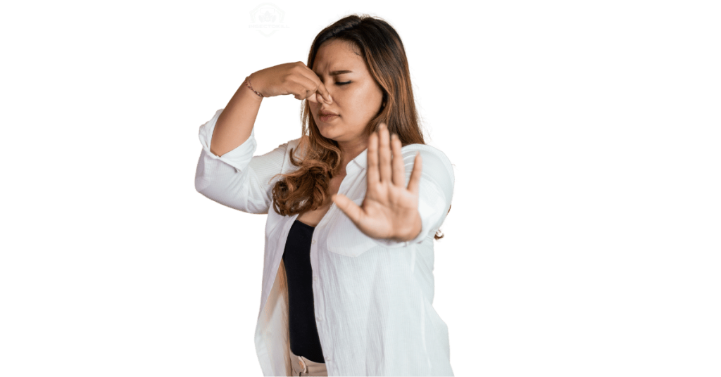 professional pest control Dubai
